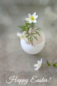 Buona Pasqua 2025